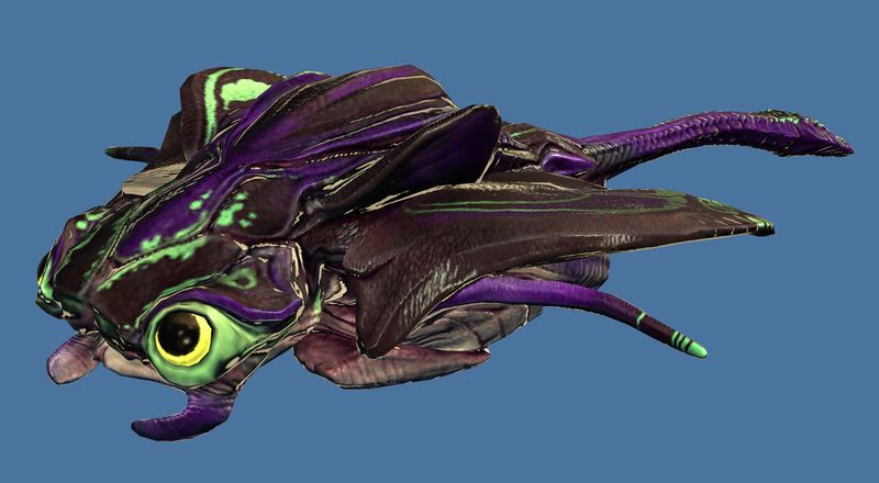 File:Mini Purple Skimmer Pup.jpg