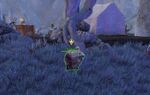 Missing brood location 1.jpg