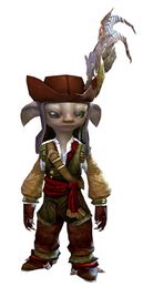 Pirate Captain's Outfit