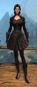 Appearance on light armor.