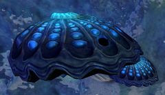 Bouncing Mushroom (Bjora Marches).jpg