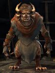 Male charr