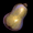 Butternut Squash.png
