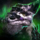 Deepwater Barbshell Siege Turtle Skin.png