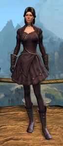 Appearance on light armor.