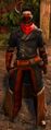 Red team (archer)