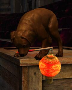 Lucky Lantern Puppy.jpg