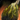 Mordrem Thrasher Gas Bladder.png