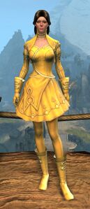 Appearance on light armor.