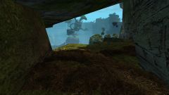 Potential Tiger Den Location.jpg