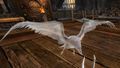 Raven Spirit.jpg