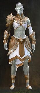 Sanctified armor sylvari male front.jpg