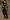 Vigil human female medium 2 (HoT rifle).jpg