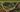 Watcher's Hollow map.jpg