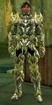 Arborstone Mercenary human male 1.jpg