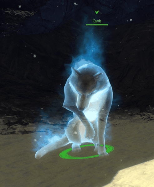 File:Canis animation.gif