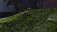 Soldier 6 — Backed into a corner.