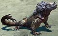False Dragon Spitter.jpg