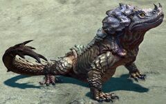 False Dragon Spitter.jpg