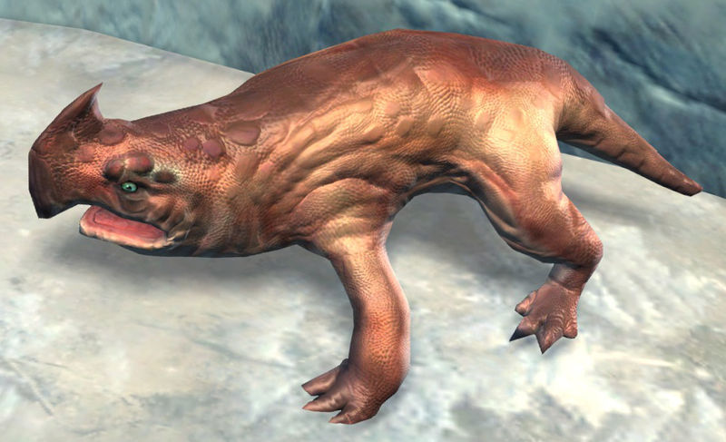 File:Ice Drake Hatchling.jpg