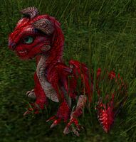 Skyscale (red hatchling).jpg