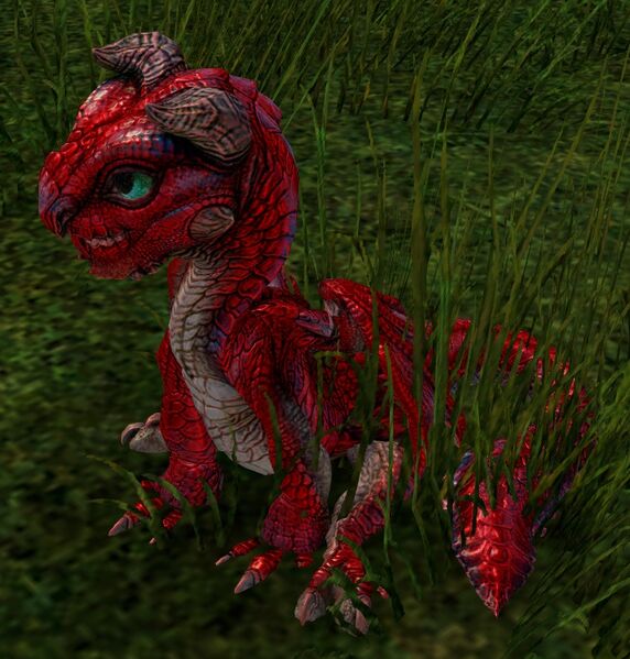 File:Skyscale (red hatchling).jpg
