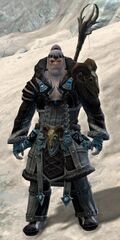 Son of Svanir staff.jpg