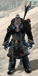 Son of Svanir staff.jpg