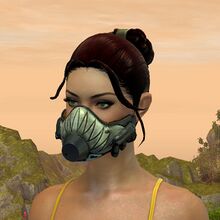 Agaleus (land).jpg