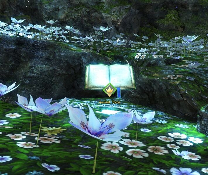 File:Ancient Tome (Shipwreck Strand) (item).jpg