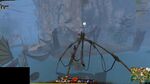 Aspect Gatherer 11 2021.jpg