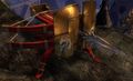 Ballista during Lunar New Year