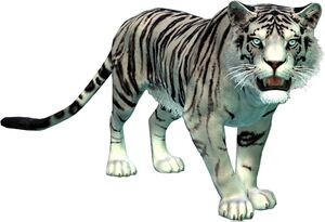 Bestiary Feline.jpg