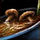 Bowl of Creamy Portobello Soup.png