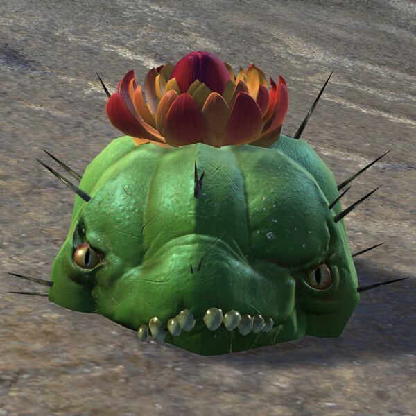 File:Dormant Choya (green).jpg