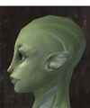 Exclusive face - sylvari female 1 side.jpg