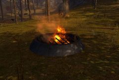 Fire Pit (Bloodsaw Mill).jpg