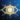 Gift of Expertise.png