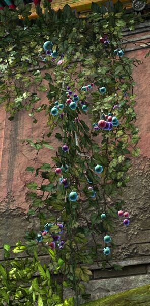 File:Hanging Fruit.jpg