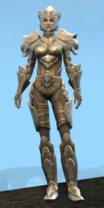 Appearance on heavy armor.