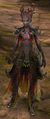 Nightmare Court Female (light armor).jpg