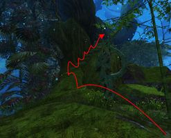 The path up the mushrooms.