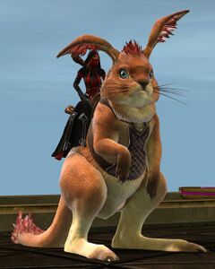 Order of Shadows (springer).jpg