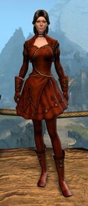 Appearance on light armor.