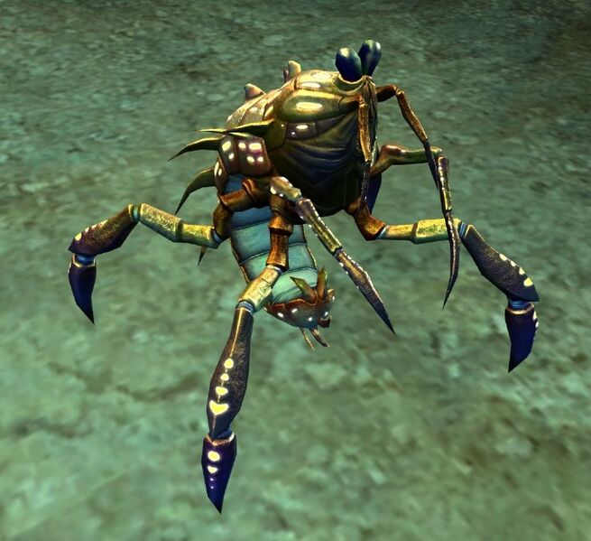 File:Thundershrimp (land).jpg