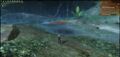 Thumbnail for version as of 14:56, 10 March 2013
