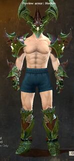Armor of Dhuum (medium) human male front.jpg