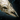 Brittle Bone.png