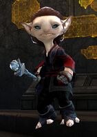 Elite Inquest Golemaestro (combat).jpg