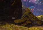 Eternity Fourth Inquest Cache.jpg